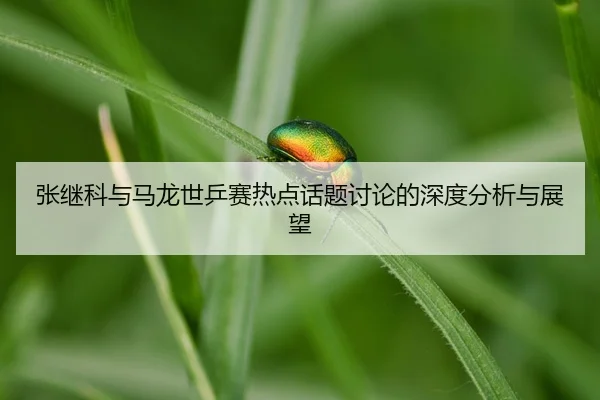 zhang-ji-ke-yu-ma-long-shi-ping-sai-re-dian-hua-ti-tao-lun-de-shen-du-fen-xi-yu-zhan-wang-2-102.jpg